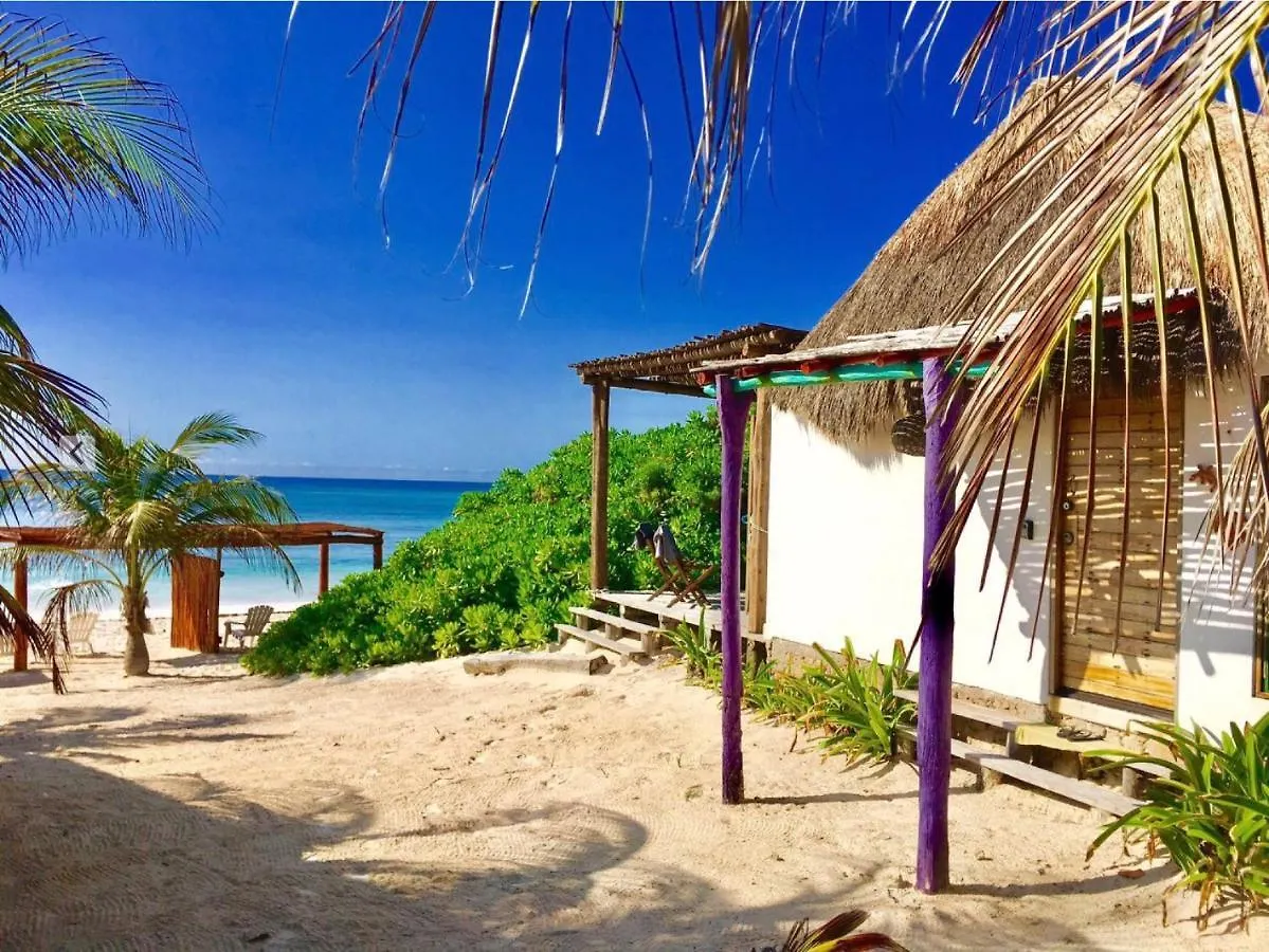 Hotel El Secreto Ocean Front Cabin Xpu Há